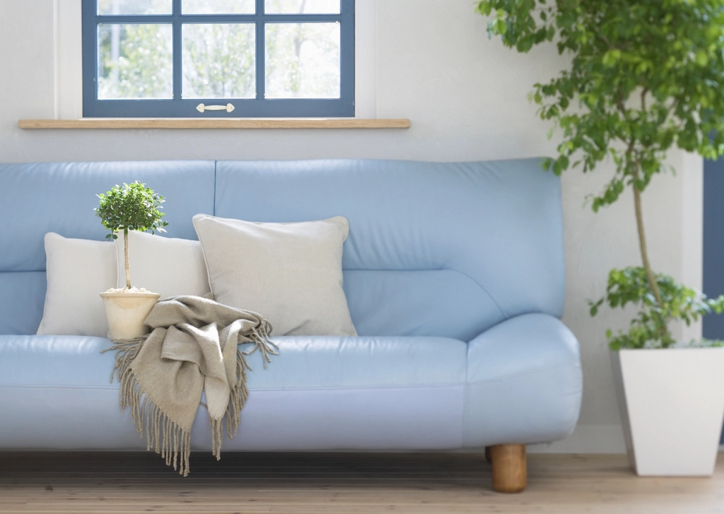 Blue upholstered sofa in a living room setting